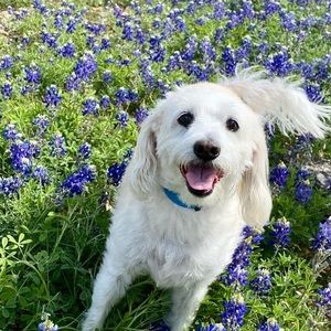 Meet your Posher, Christie